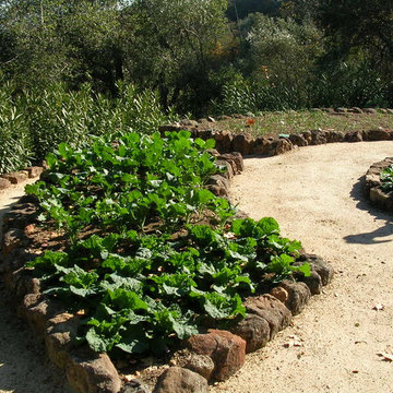 Vegetable gardens
