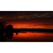 Michel Laxson's photo