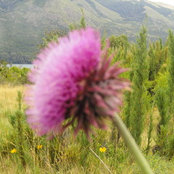 Foto von Matias Duran