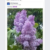 Donna Ohl's photo