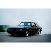 Jonathan Burris's photo