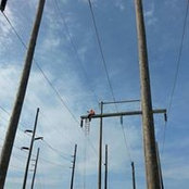 Andrew Muzio's photo