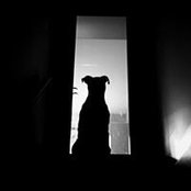 Mathew Hutchins's photo