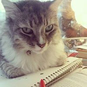 Maria Areiza's photo