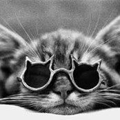 Michelle Dee's photo