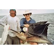 David Studeman's photo