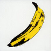 Christophe Nivel's photo