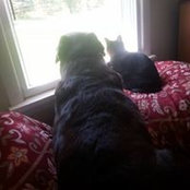 Jamie Ficks's photo