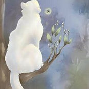 Foto de Debbie Springer
