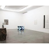 Steven Diller's photo