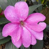 Barbara Hively's photo