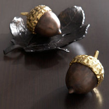 Acorn merchandise