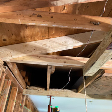 Bowie Termite Damage Repair