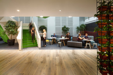 Large modern open concept family room in Sydney with medium hardwood floors.