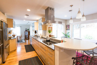 Kitchen - contemporary kitchen idea in Boston