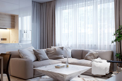 Example of a minimalist living room design in Other