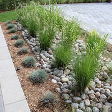 Front landscaping