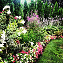 Landscape Ideas