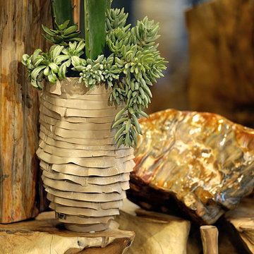 Emilio Robba Plantscaping - Succulent