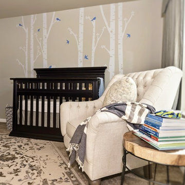A Baby Boy's Nursery