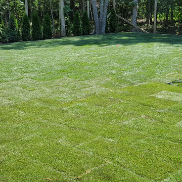 Backyard Makeover Installing Sod, Privacy Hedge, Flower Garden, Gravel Driveway
