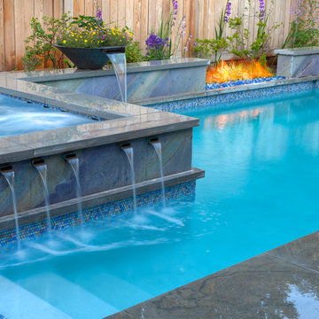 Urban Oasis