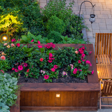 Backyard Transformation