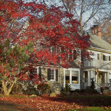 Exterior Ideas