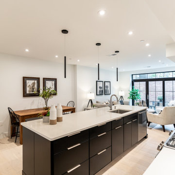 Southwest DC Duplex Renovation