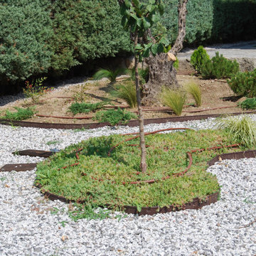 Jardín Zem en la montaña