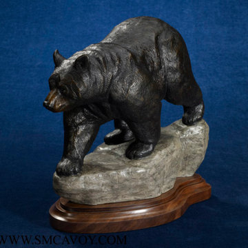KING OF THE MOUNTAIN black bear wildlife