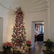 christmas trees