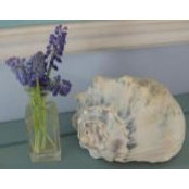 Kelly Thunde's photo