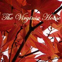 The Virginia House