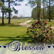 Cheryl Murphy's photo