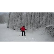 Todd Edwards's photo