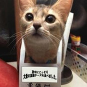 Emi Ayaseさんの写真