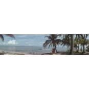 Erick Nath's photo