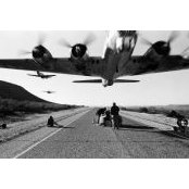 David Kamps's photo