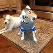 Stephanie Schoggin's photo
