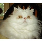 Kathy Seidl's photo