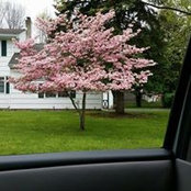 Foto von Sherry Herrera