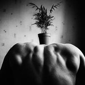 Alex Shuklin's photo