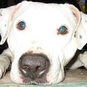 Heather Radyshewsky's photo