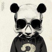 Hiram Solis's photo