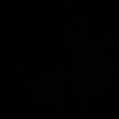 Julian Bavin's photo