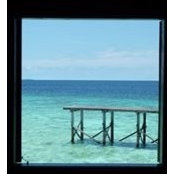 Simon Parker's photo