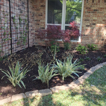 Plants and Planting