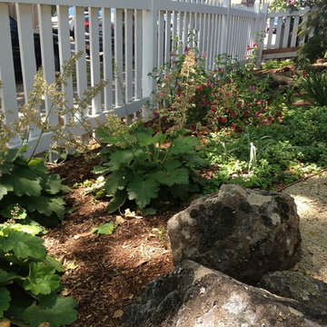 Rockridge shade garden
