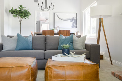 Inspiration for a modern living room remodel in Orange County